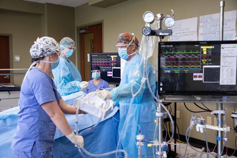 accredited perfusion technology program